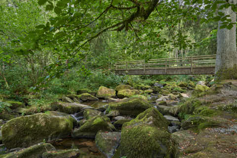 Gemeinde Waldkirchen Landkreis Freyung-Grafenau Saußbachklamm (Dirschl Johann) Deutschland FRG